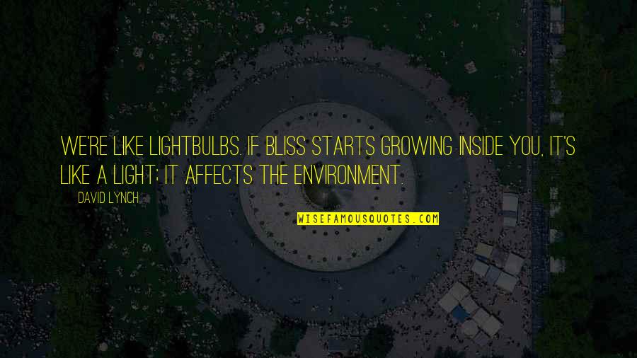 Inignia Quotes By David Lynch: We're like lightbulbs. If bliss starts growing inside Inignia Quotes By David Lynch: We're like lightbulbs. If bliss starts growing inside