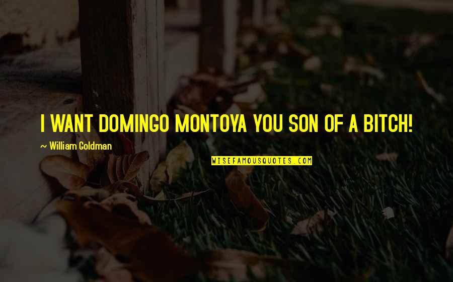 Inigo's Quotes By William Goldman: I WANT DOMINGO MONTOYA YOU SON OF A