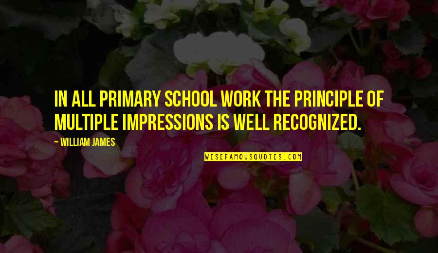 Ininterrompue Quotes By William James: In all primary school work the principle of