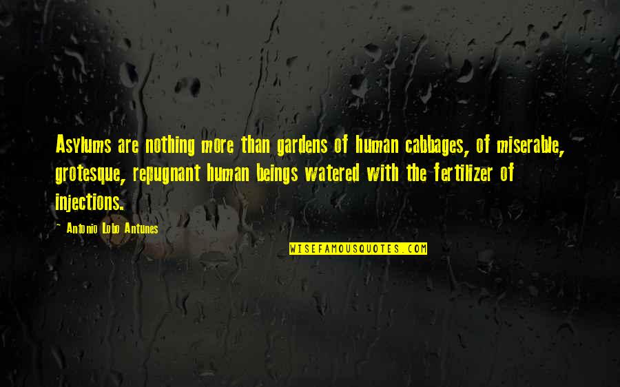 Injections Quotes By Antonio Lobo Antunes: Asylums are nothing more than gardens of human