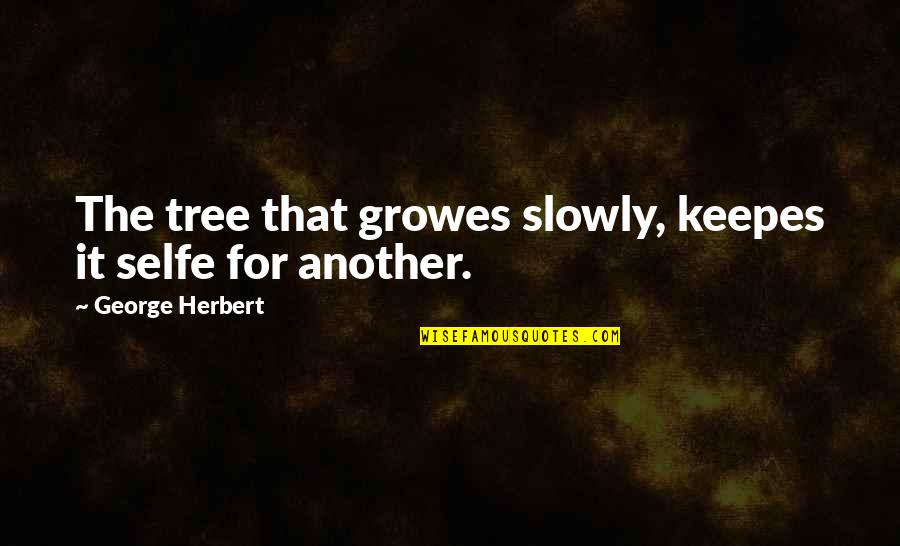 Injery Quotes By George Herbert: The tree that growes slowly, keepes it selfe