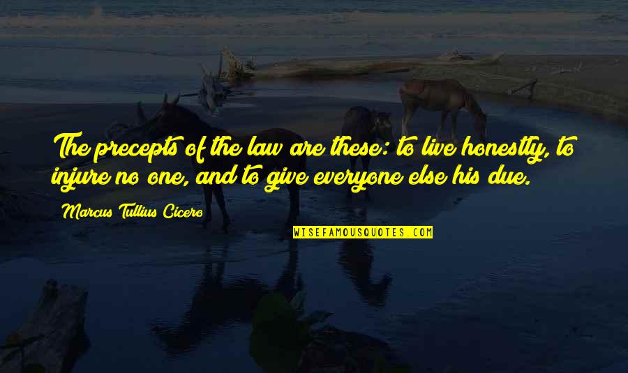 Injure Quotes By Marcus Tullius Cicero: The precepts of the law are these: to