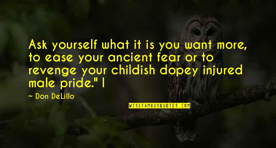 Injured Pride Quotes By Don DeLillo: Ask yourself what it is you want more,