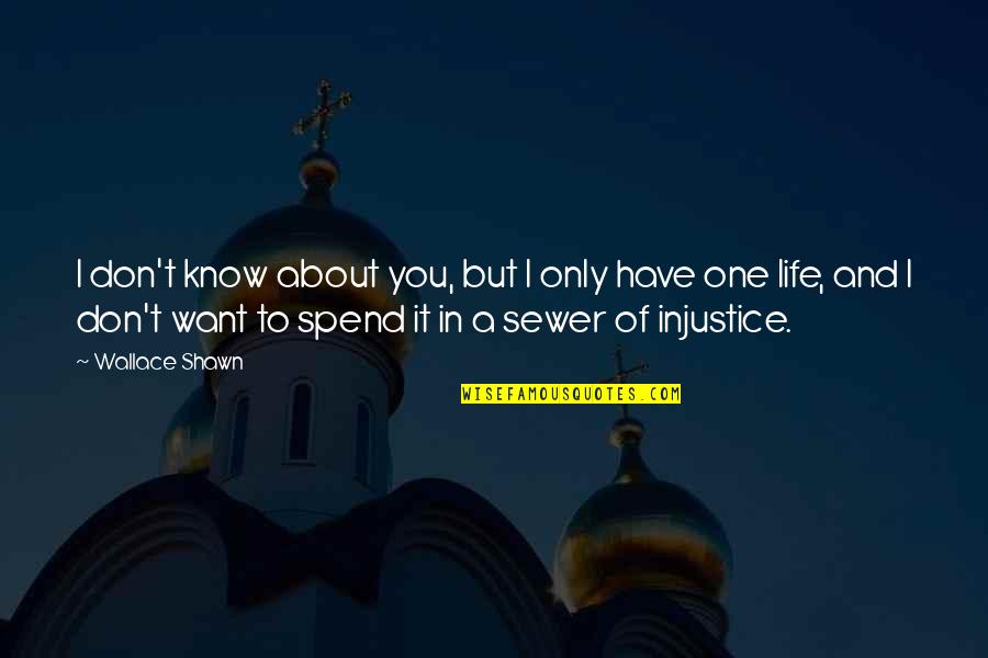 Injustice And You Quotes By Wallace Shawn: I don't know about you, but I only Injustice And You Quotes By Wallace Shawn: I don't know about you, but I only