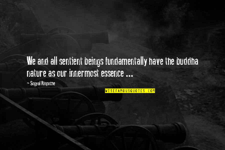 Inkapelis Series Quotes By Sogyal Rinpoche: We and all sentient beings fundamentally have the
