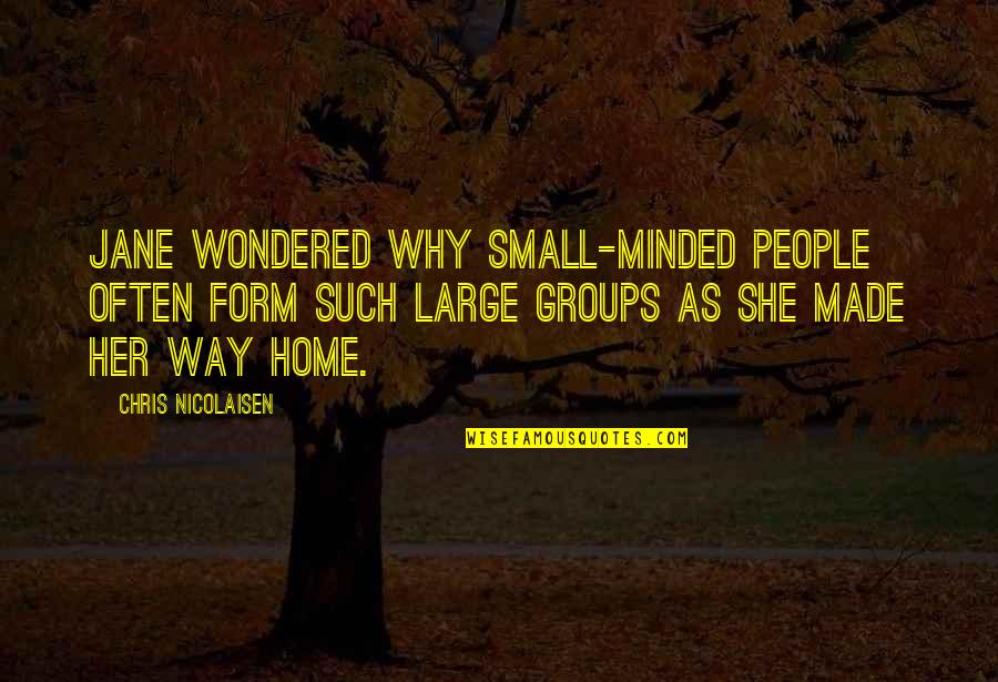 Inkleys Quotes By Chris Nicolaisen: Jane wondered why small-minded people often form such Inkleys Quotes By Chris Nicolaisen: Jane wondered why small-minded people often form such