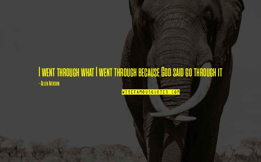 Inlove Tagalog Quotes By Allen Iverson: I went through what I went through because