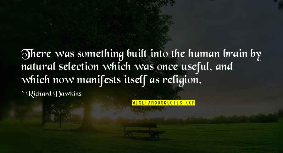 Inmadurez Quotes By Richard Dawkins: There was something built into the human brain Inmadurez Quotes By Richard Dawkins: There was something built into the human brain