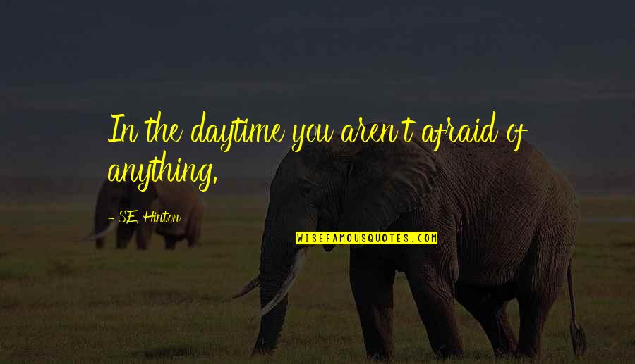 Inmediaciones Que Quotes By S.E. Hinton: In the daytime you aren't afraid of anything. Inmediaciones Que Quotes By S.E. Hinton: In the daytime you aren't afraid of anything.