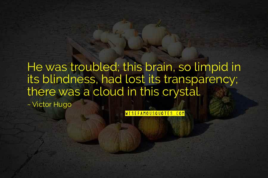 Inner Conflict Quotes By Victor Hugo: He was troubled; this brain, so limpid in