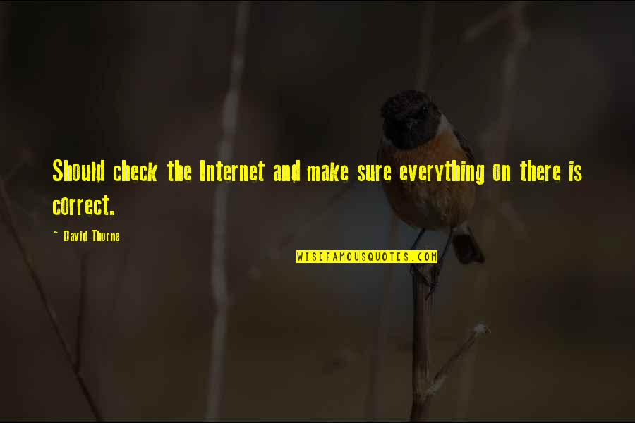 Inner Pace Quotes By David Thorne: Should check the Internet and make sure everything