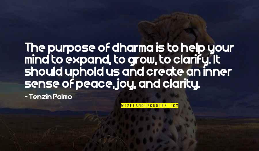 Inner Peace Of Mind Quotes By Tenzin Palmo: The purpose of dharma is to help your