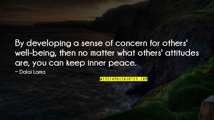 Inner Sense Quotes By Dalai Lama: By developing a sense of concern for others' Inner Sense Quotes By Dalai Lama: By developing a sense of concern for others'
