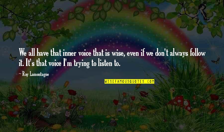 Inner Voice Quotes By Ray Lamontagne: We all have that inner voice that is