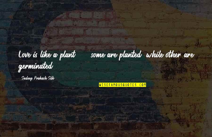 Inner Youth Quotes By Sudeep Prakash Sdk: Love is like a plant ... ; some