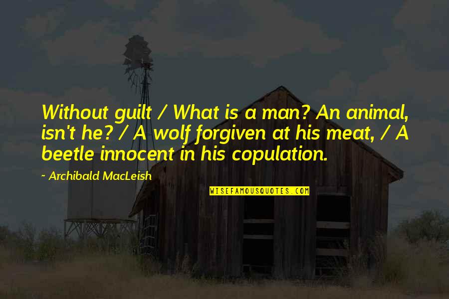 Innocent Animal Quotes By Archibald MacLeish: Without guilt / What is a man? An
