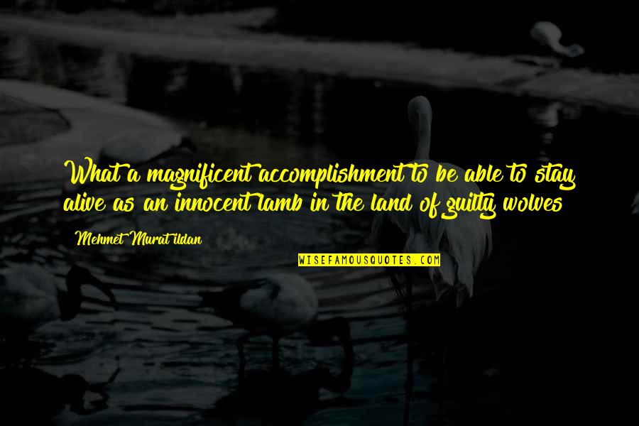 Innocent As A Quotes By Mehmet Murat Ildan: What a magnificent accomplishment to be able to