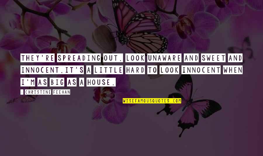 Innocent As Quotes By Christine Feehan: They're spreading out. Look unaware and sweet and