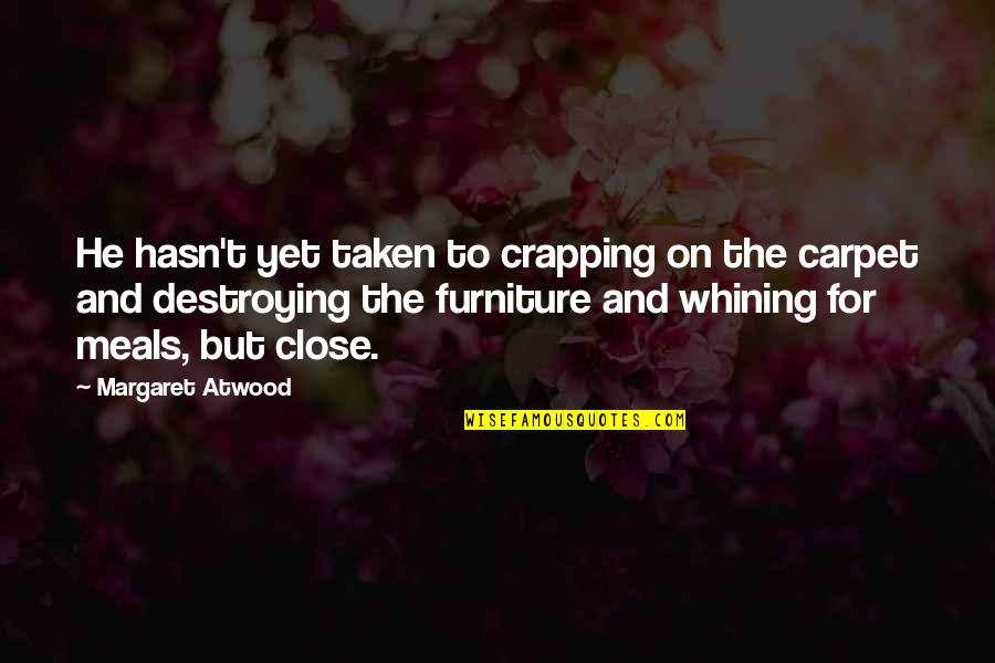 Innocfence Quotes By Margaret Atwood: He hasn't yet taken to crapping on the Innocfence Quotes By Margaret Atwood: He hasn't yet taken to crapping on the