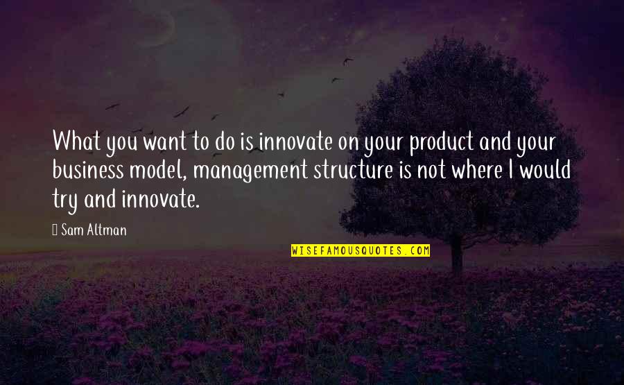 Innovate Quotes By Sam Altman: What you want to do is innovate on