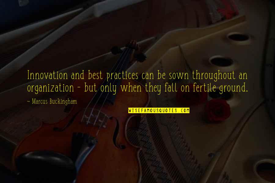 Innovation Best Quotes By Marcus Buckingham: Innovation and best practices can be sown throughout Innovation Best Quotes By Marcus Buckingham: Innovation and best practices can be sown throughout