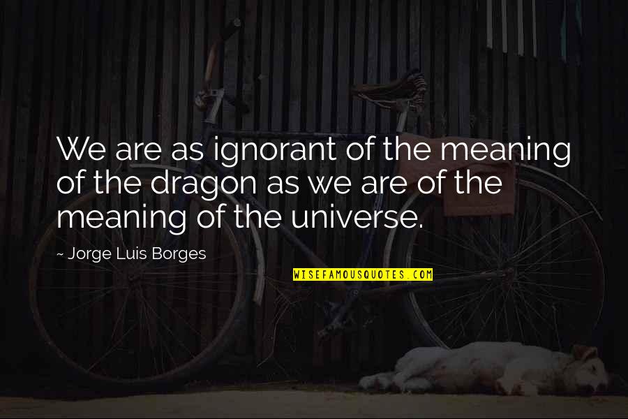 Innsbrucker Ferienzug Quotes By Jorge Luis Borges: We are as ignorant of the meaning of