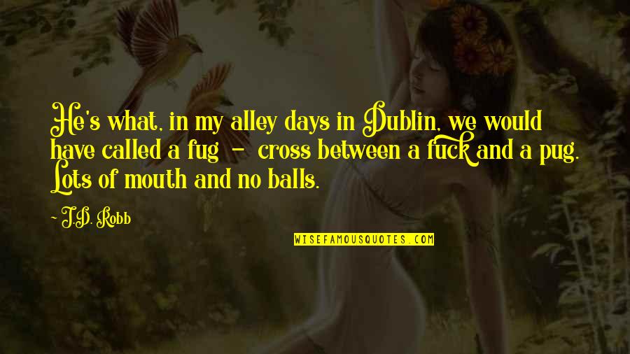 Inocencia Tragica Quotes By J.D. Robb: He's what, in my alley days in Dublin, Inocencia Tragica Quotes By J.D. Robb: He's what, in my alley days in Dublin,