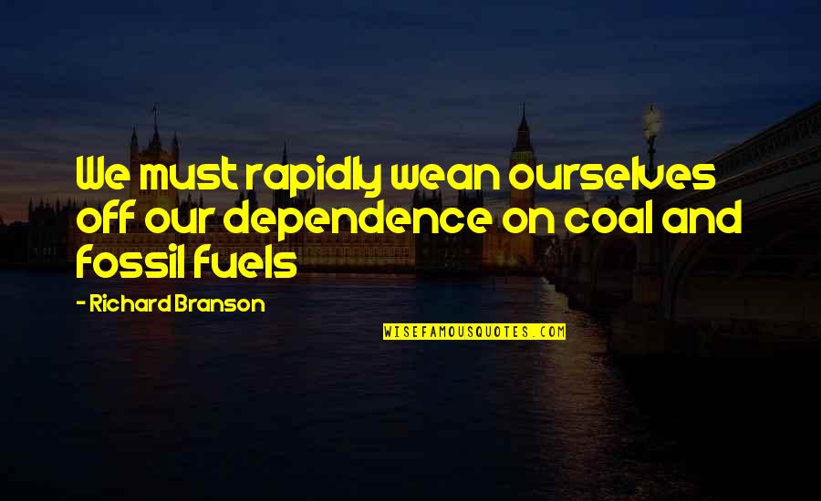 Inoe Boots Quotes By Richard Branson: We must rapidly wean ourselves off our dependence