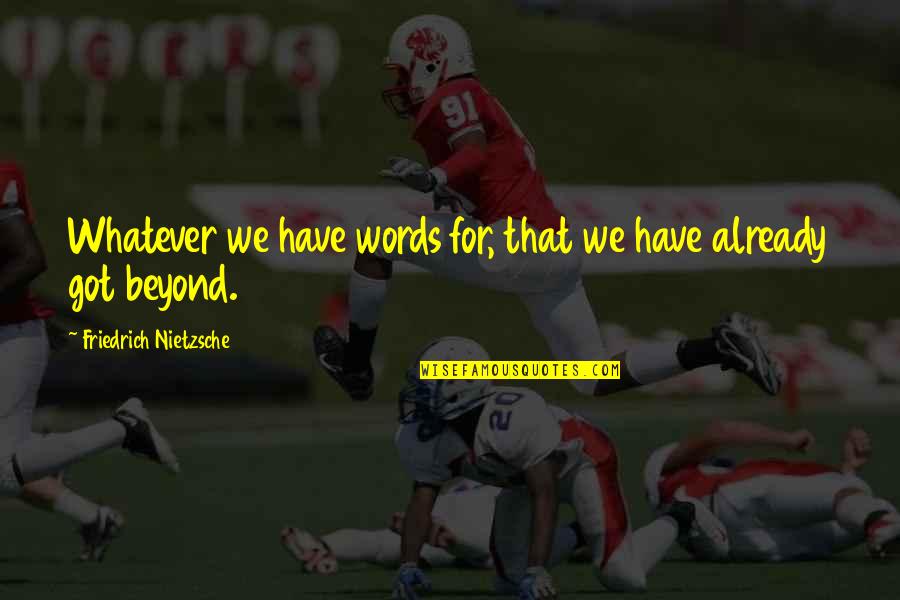 Inokuma Judo Quotes By Friedrich Nietzsche: Whatever we have words for, that we have