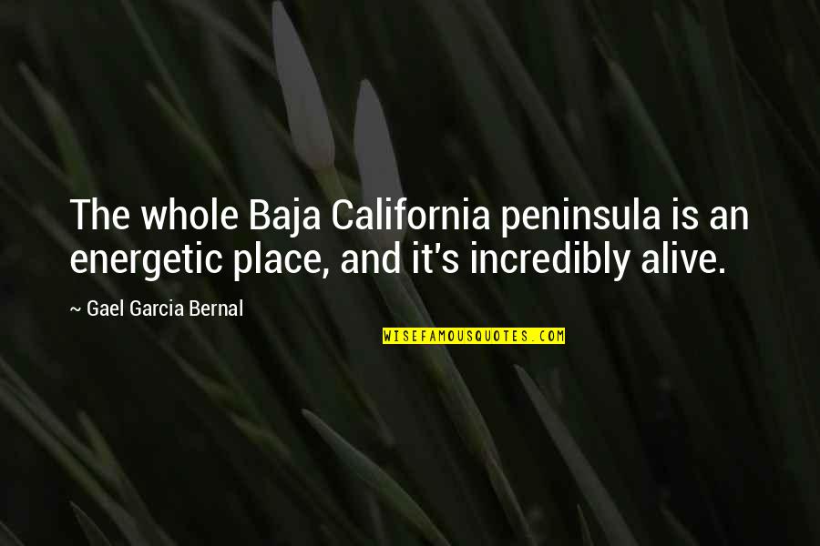 Inopportunely Quotes By Gael Garcia Bernal: The whole Baja California peninsula is an energetic