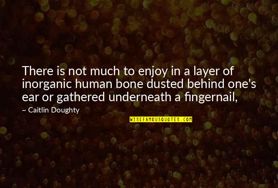 Inorganic Quotes By Caitlin Doughty: There is not much to enjoy in a Inorganic Quotes By Caitlin Doughty: There is not much to enjoy in a