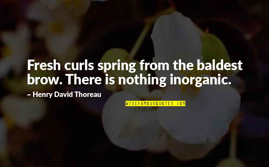 Inorganic Quotes By Henry David Thoreau: Fresh curls spring from the baldest brow. There Inorganic Quotes By Henry David Thoreau: Fresh curls spring from the baldest brow. There