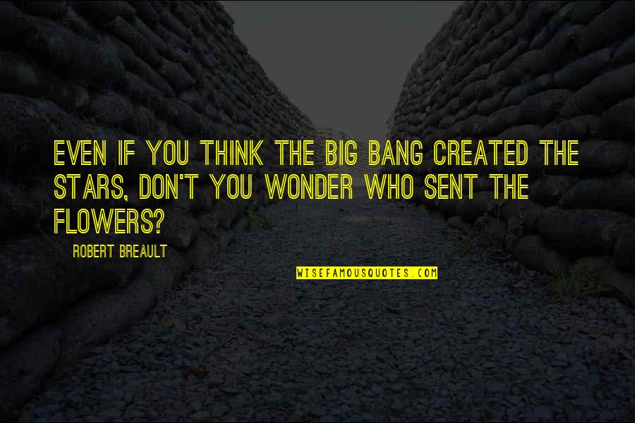 Inosine Vs Inositol Quotes By Robert Breault: Even if you think the Big Bang created Inosine Vs Inositol Quotes By Robert Breault: Even if you think the Big Bang created