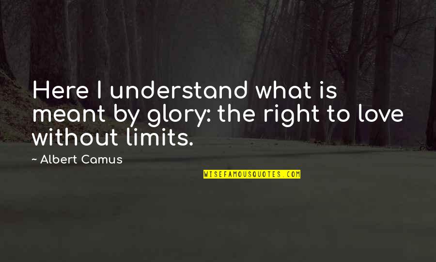 Insaaf Islamic Quotes By Albert Camus: Here I understand what is meant by glory: