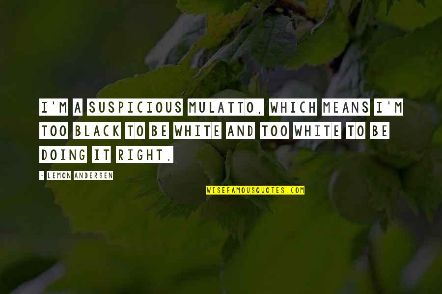 Insan In Urdu Quotes By Lemon Andersen: I'm a suspicious mulatto, which means I'm too
