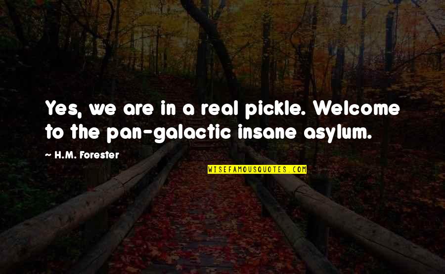 Insane Asylum Quotes By H.M. Forester: Yes, we are in a real pickle. Welcome