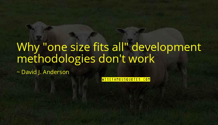 Insane Joker Quotes By David J. Anderson: Why "one size fits all" development methodologies don't Insane Joker Quotes By David J. Anderson: Why "one size fits all" development methodologies don't