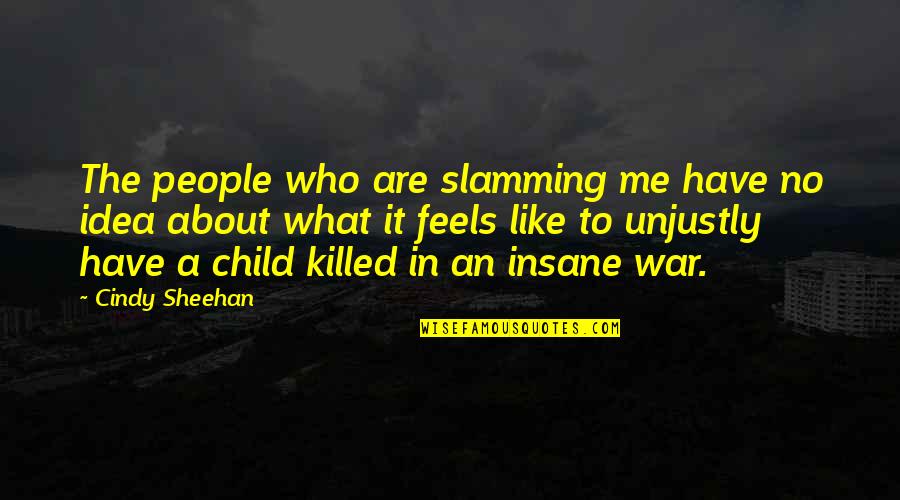 Insane People Quotes By Cindy Sheehan: The people who are slamming me have no