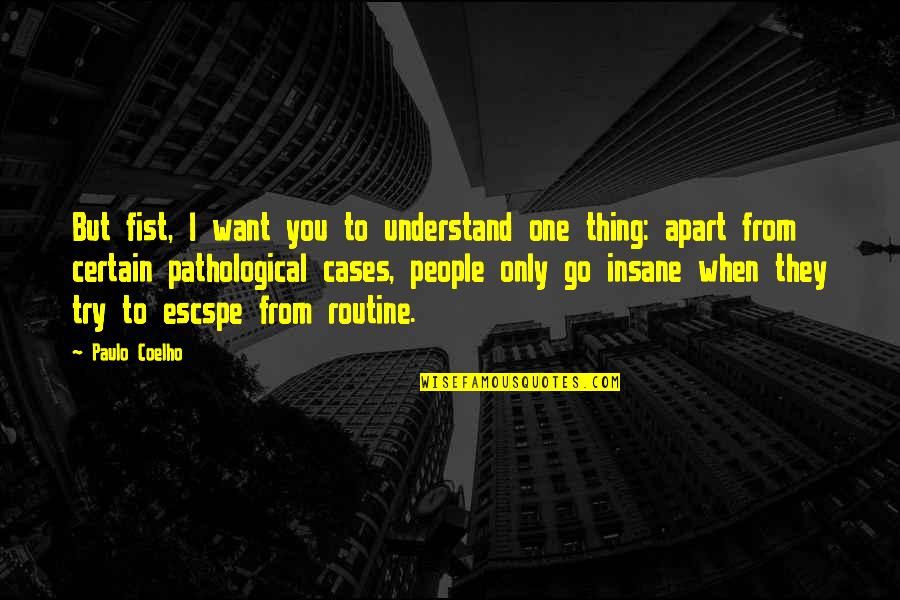 Insane People Quotes By Paulo Coelho: But fist, I want you to understand one
