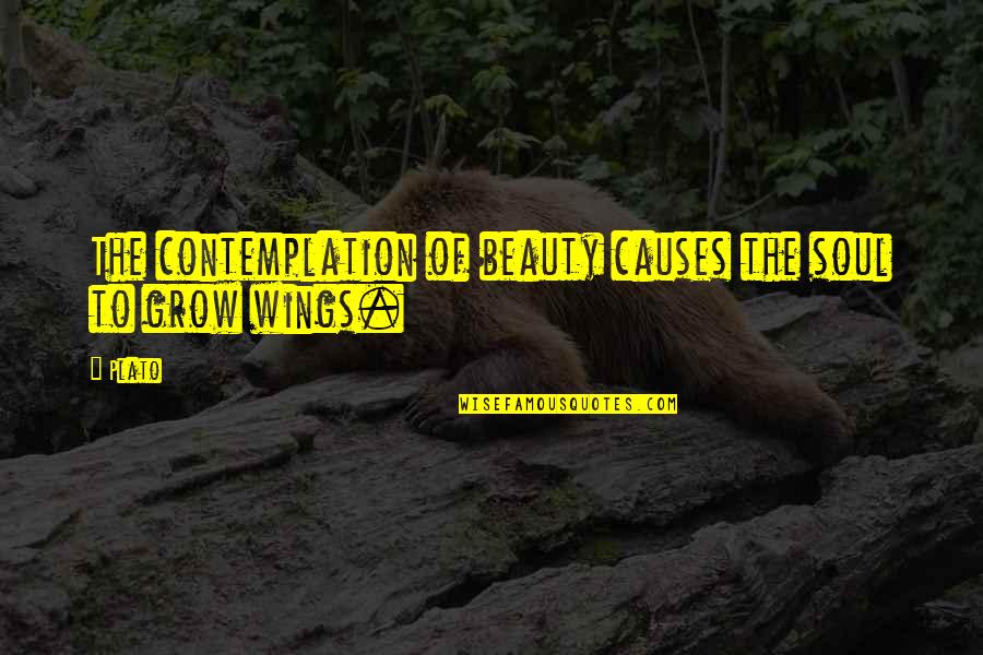 Insane Sayings And Quotes By Plato: The contemplation of beauty causes the soul to
