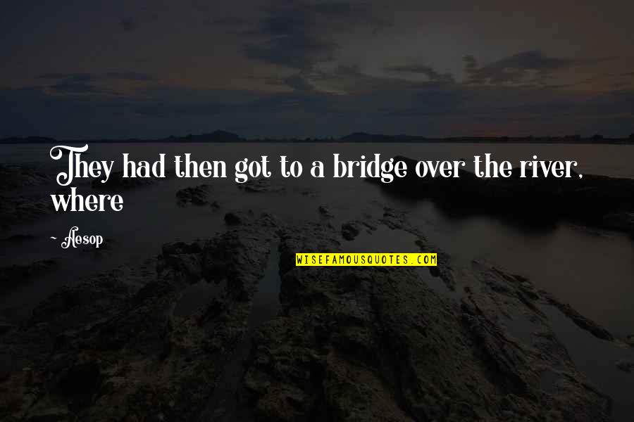 Insanitary Latrines Quotes By Aesop: They had then got to a bridge over