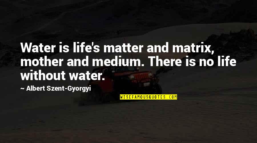 Insanities Saint Quotes By Albert Szent-Gyorgyi: Water is life's matter and matrix, mother and