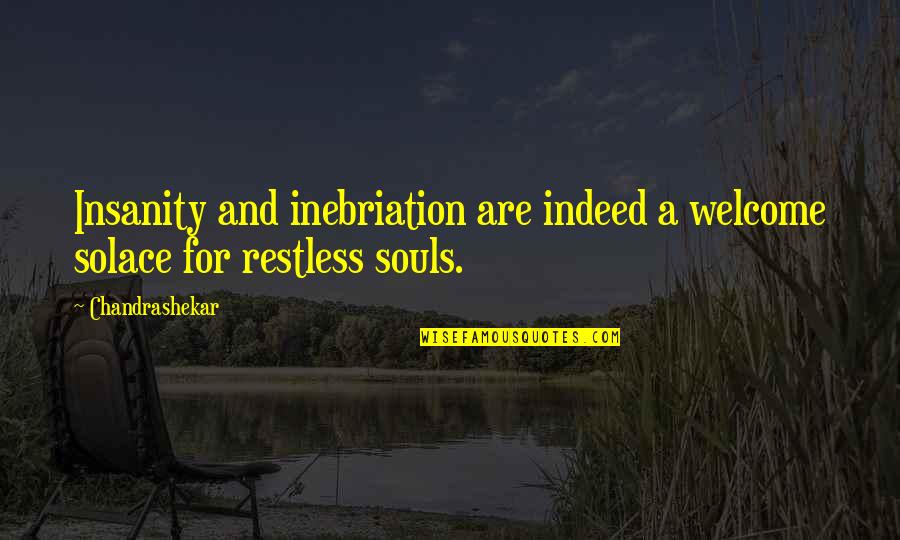 Insanity And Life Quotes By Chandrashekar: Insanity and inebriation are indeed a welcome solace