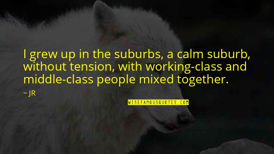 Insasi Dex Quotes By JR: I grew up in the suburbs, a calm Insasi Dex Quotes By JR: I grew up in the suburbs, a calm