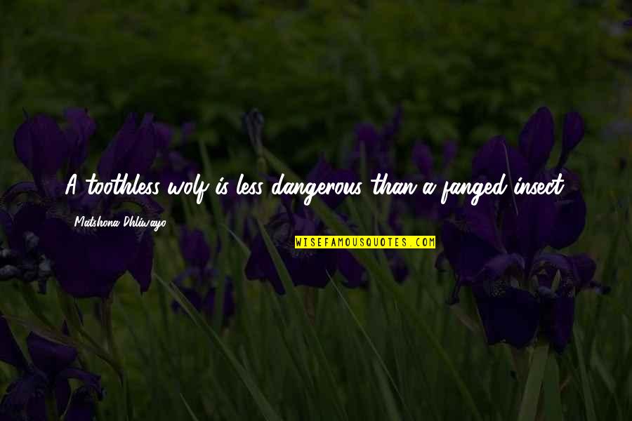 Insect Quotes And Quotes By Matshona Dhliwayo: A toothless wolf is less dangerous than a