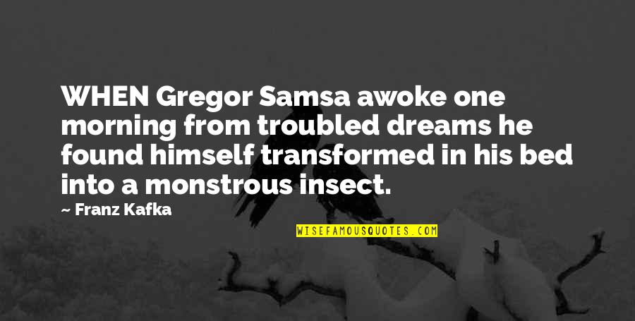 Insect Quotes By Franz Kafka: WHEN Gregor Samsa awoke one morning from troubled