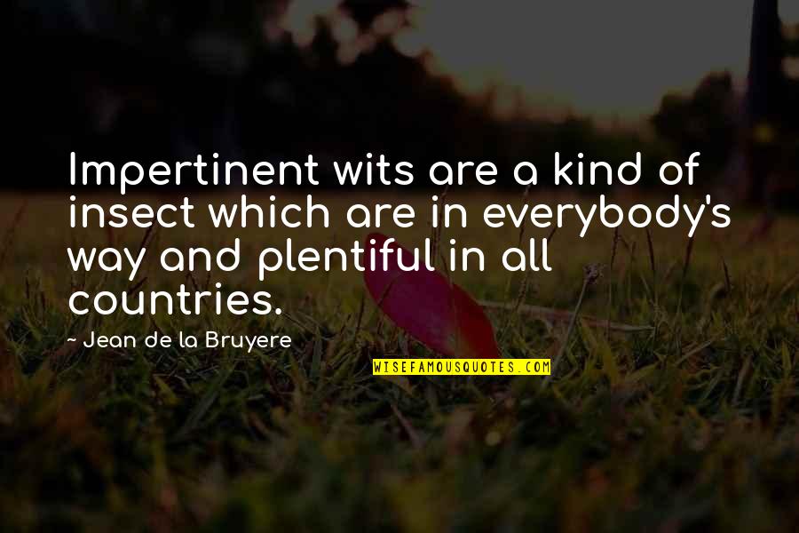 Insect Quotes By Jean De La Bruyere: Impertinent wits are a kind of insect which