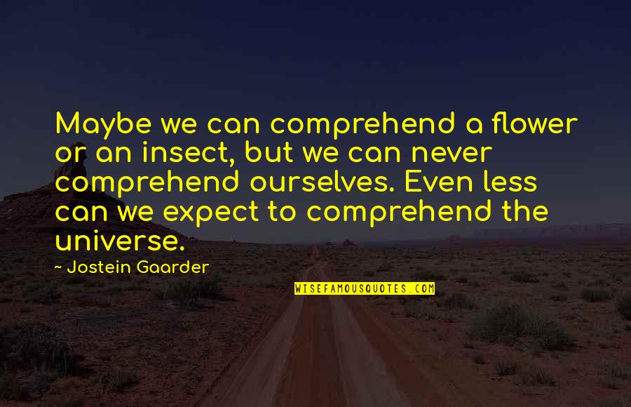 Insect Quotes By Jostein Gaarder: Maybe we can comprehend a flower or an