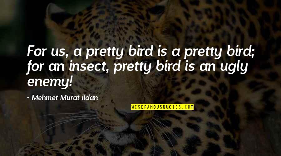 Insect Quotes By Mehmet Murat Ildan: For us, a pretty bird is a pretty