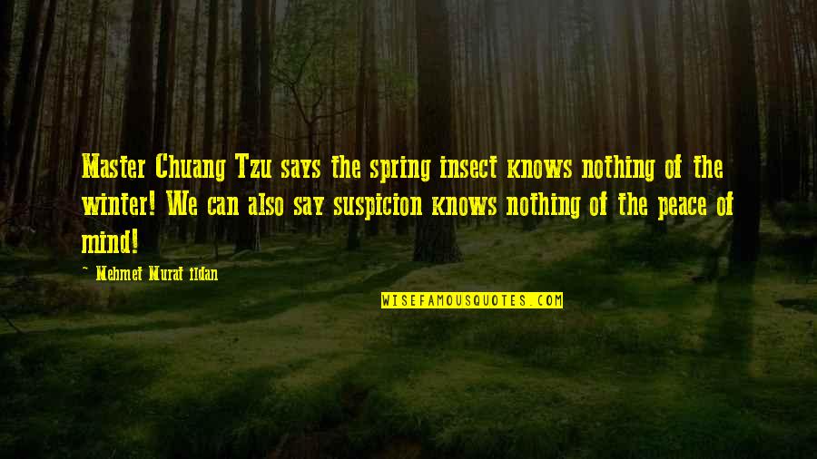 Insect Quotes By Mehmet Murat Ildan: Master Chuang Tzu says the spring insect knows